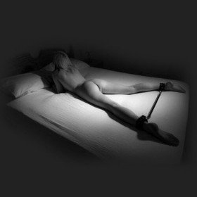 stress spreader bar ankles BDSM Stainless Luxury Series