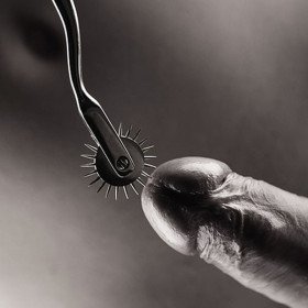 Wartenberg Wheel